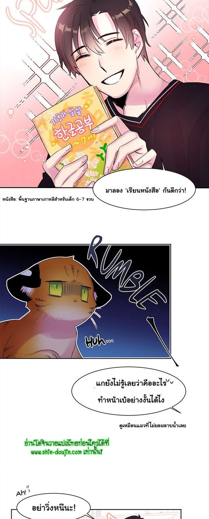 Cat in a Cardboard Box EP 4